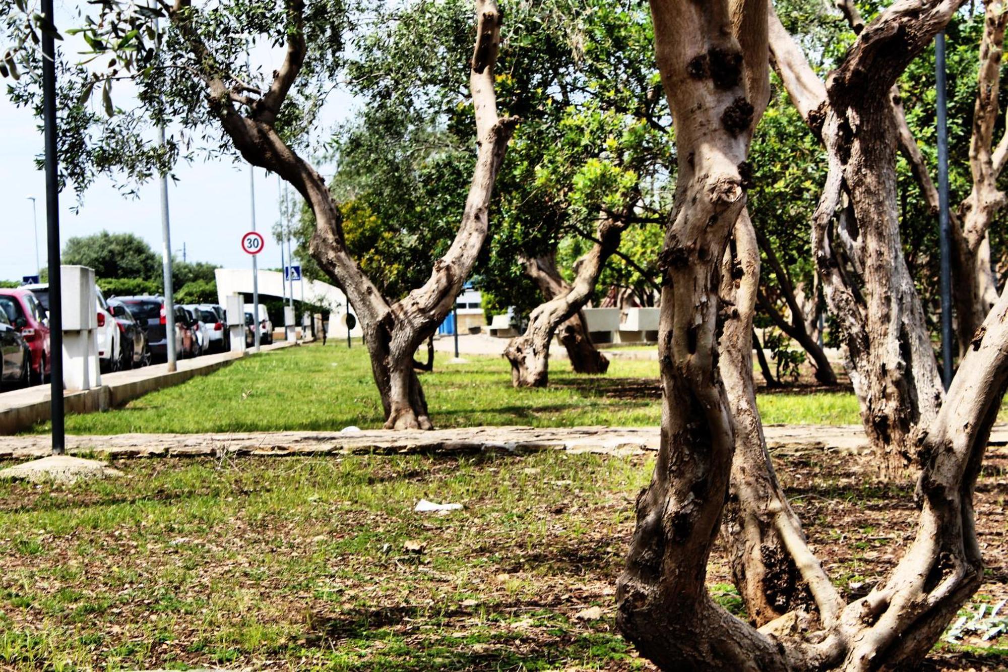 Apartmán Fara 8 Bari Exteriér fotografie